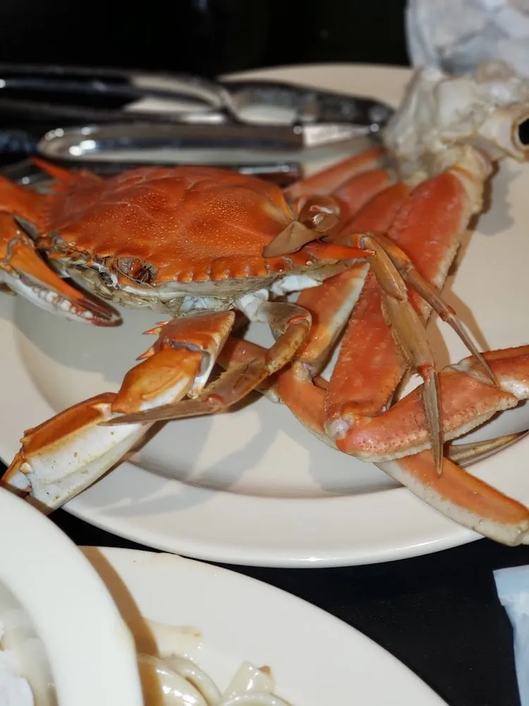 Snow Crab